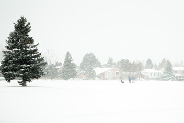 winter landscape with snow covered trees