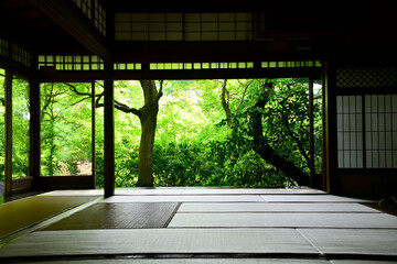 和室から眺める新緑の日本庭園