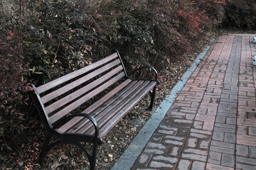 Bench with nobody