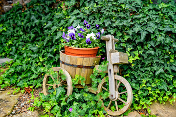 Fototapeta na wymiar wooden decorative bike planter with pot of flowers in garden. landscaping.