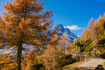 autumn landscape on the italian alps