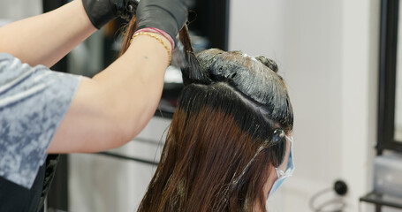 Fototapeta premium Woman dye hair treatment at salon