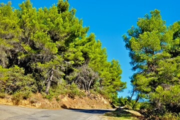 ROUTE DES CRÊTE VINSOBRES