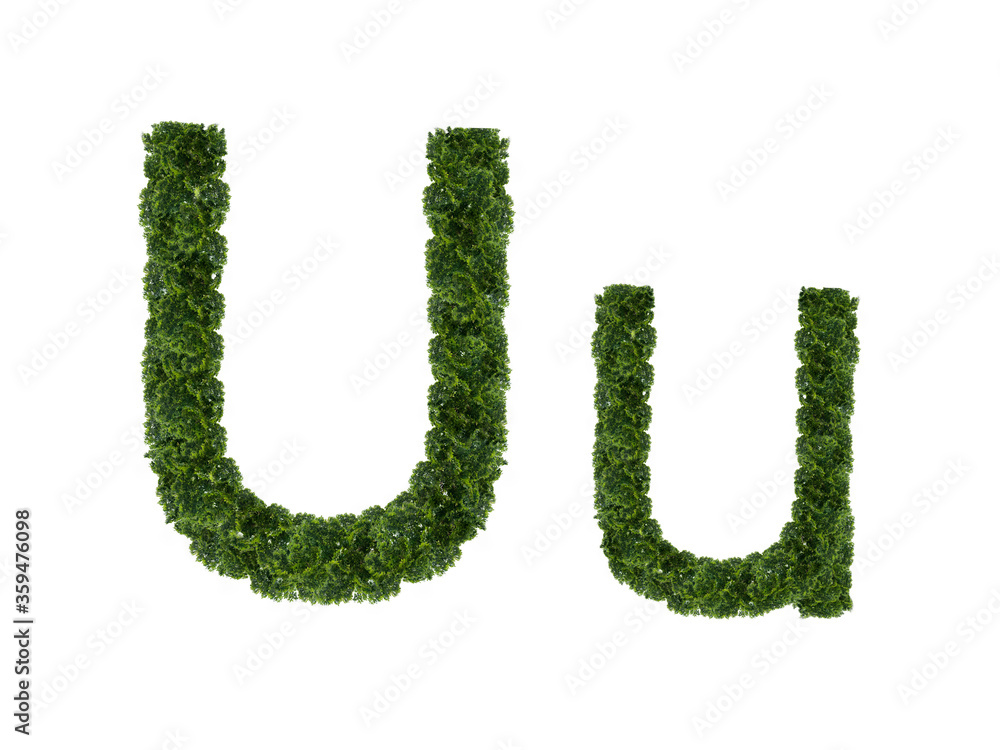 Fototapete a letter made from the crown of a tree from the english alphabet. isolated on a white background. up