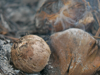 Burnt coconut has a pleasant aroma, good taste and smoke in warm light background concept
