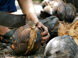 Woman using a knife to peel the coconut. Burnt coconut has a pleasant aroma and good taste.