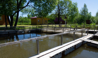 Fish farm in the pond. Aquaculture in the open air.