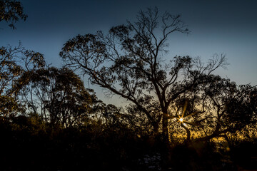 Fototapeta na wymiar Sunset at a hiking path in the Grampians National Park in Victoria, Australia.