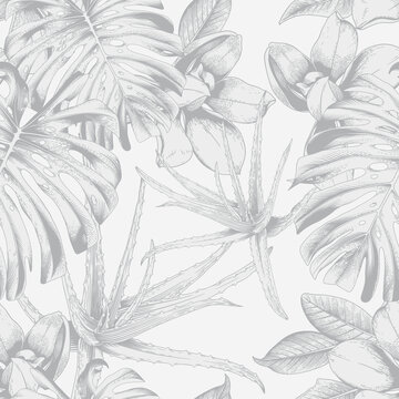 Seamless floral pattern with tropical flowers on light background. Template design for textiles, interior, clothes, wallpaper. Vector illustration.  Botanical art.  Engraving style
