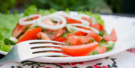 Salad with juicy tomatoes, lettuce, cucumber, red onion, arugula, dill and fresh parsley. Homemade food. The symbolic image. The concept of tasty and healthy vegetarian food. Top view and side view. 