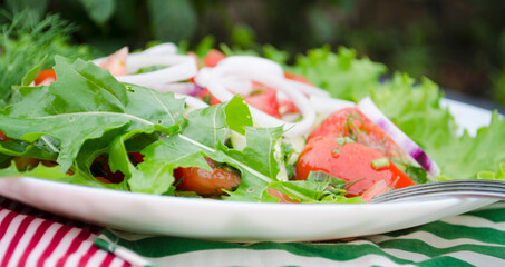 Salad with juicy tomatoes, lettuce, cucumber, red onion, arugula, dill and fresh parsley. Homemade food. The symbolic image. The concept of tasty and healthy vegetarian food. Top view and side view. 