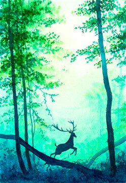 Watercolor Painting - Deer in summer forest