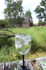 glass with spring water and flower