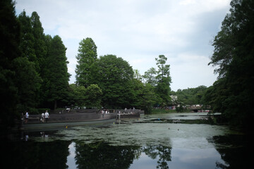 lake in the park