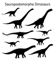 Silhouettes of sauropodomorpha dinosaurs. Set. Side view. Monochrome vector illustration of black silhouettes of dinosaurs isolated on white background. Sauropoda. Proportional dimensions. © tinkivinki