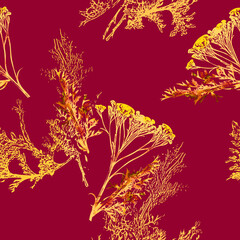 Obraz na płótnie Canvas Field and curry plant, seamless pattern.