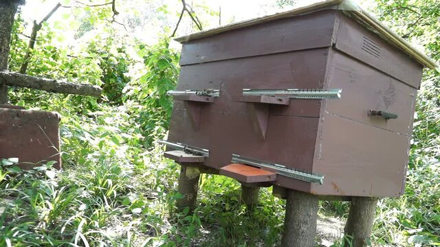 bee hives in a rural area