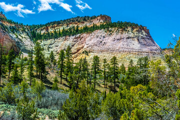 Checkerboard Mesa on the approach to Zion national park, Utah in springtime