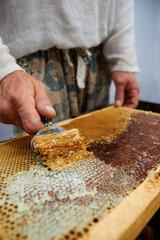 pumping and collecting honey in an apiary in a mechanical honey extractor