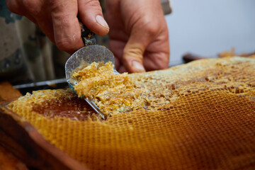 pumping and collecting honey in an apiary in a mechanical honey extractor