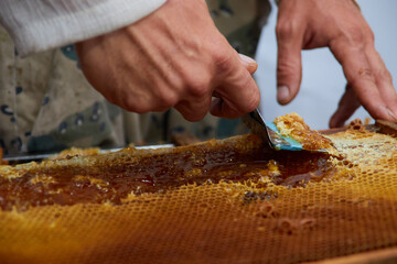 pumping and collecting honey in an apiary in a mechanical honey extractor