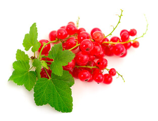 Red currant fruit.