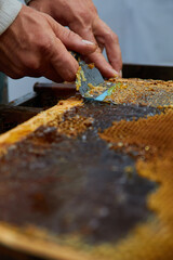 pumping and collecting honey in an apiary in a mechanical honey extractor