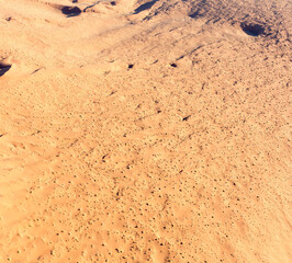 A helicopter view picture taken in Sossusvlei