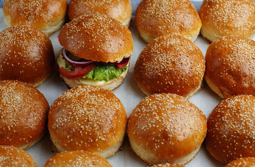 One juicy burger among the many empty buns. Concept photo