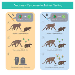 Vaccines Response to Animal Testing. Illustration for medical use to compare vaccines 2 type, That has different effects on animal testing (monkey and rat) in laboratory..