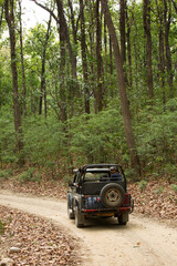 Tourists on a Safari jeep enjoying game drive  in the dense forest of sal in Dhikala zone, Jim Corbett, Uttrakhand, India