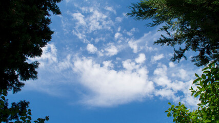 Cielo e nuvole in una bella giornata d'estate