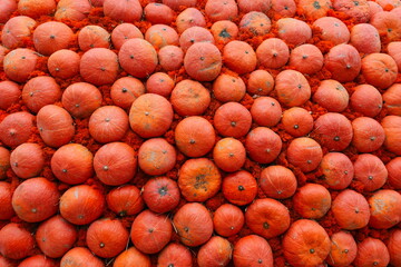 Red pumpkin harvest festival decoration