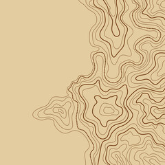 topographic map vector illustration abstract height lines isolated on a brown background