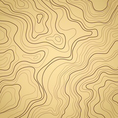 Fototapeta premium topographic map vector illustration abstract height lines isolated on a brown background