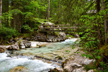 Obraz premium Bergbach Zauberwald