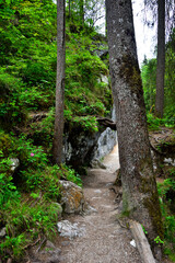 Obraz premium Wanderweg