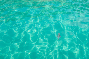 The Beautiful Background of the colourful turquoise clear water of Sancho Beach with fish underwater, at Fernando de Noronha Marine National Park, a Unesco World Heritage site, Pernambuco