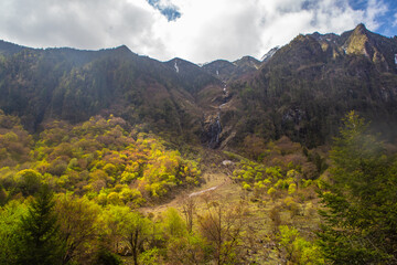The forest and meadows on the mountains.
