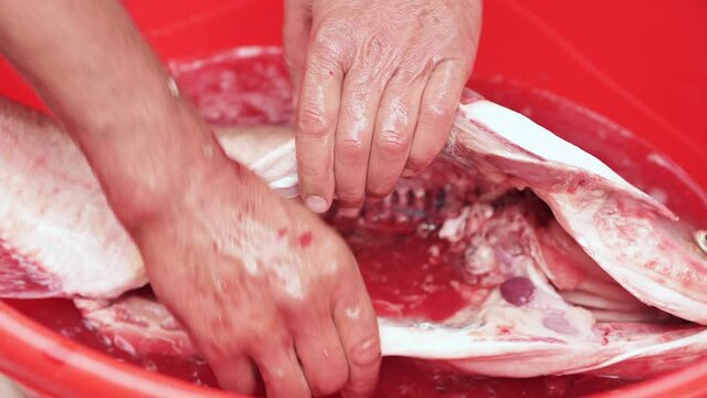 Big carp fish cutting with knife and cleaning interior, preparing for cooking, close up