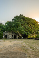 Ruins of Reduto de Santana Fort, called Reduto do Armamento, Blue Coast Trail, between Meio Beach and Cachorro Beach, Fernando de Noronha, Unesco World Heritage site, Pernambuco, Brazil, July, 2019