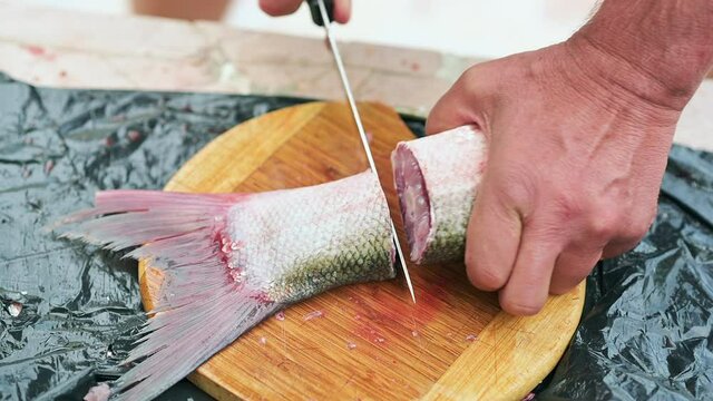 Big carp fish cutting with knife and cleaning interior, preparing for cooking, close up