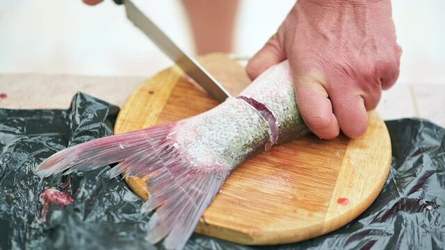 Fisherman cutting and chopping big carp fish with knife, preparing for cooking, slow motion
