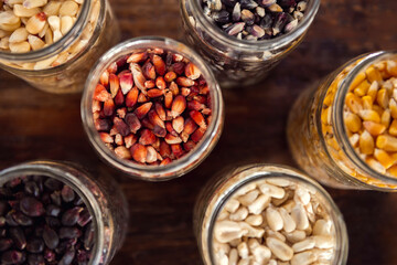 Different species and colors of corn in glass jars on wooden table, flat lay