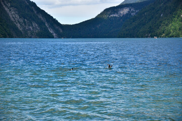 Obraz premium Königssee Berchtesgaden