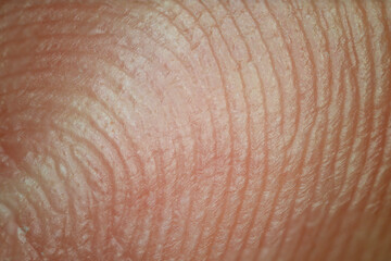 Contour line on finger in macro detail.