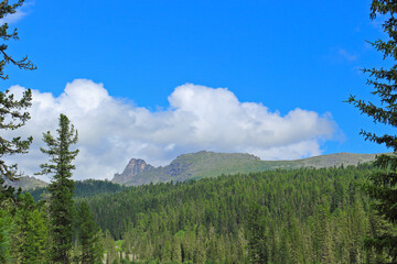 Summer view on the mountain pass covered in conifer forests. Nature park Ergaki, Russia, Siberia. Western Sayan mountains.