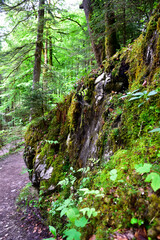 Nationalpark Berchtesgaden