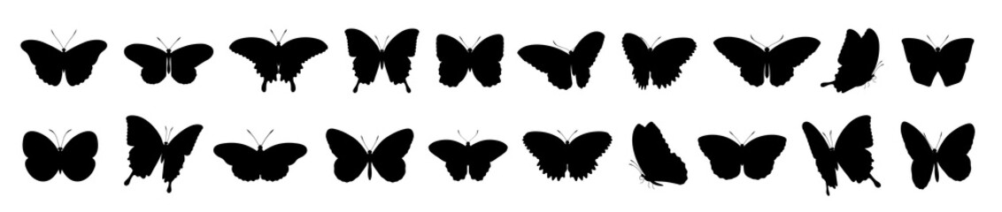 Butterflies silhouette set. Vector illustration - 359495670
