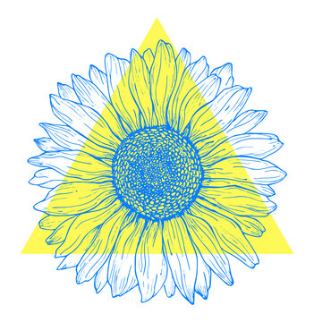 Blue outline sunflower line art in yellow triangle isolated on white background. Hand drawing botanical vector illustration for logo design, cards, prints, farmhouse decor.